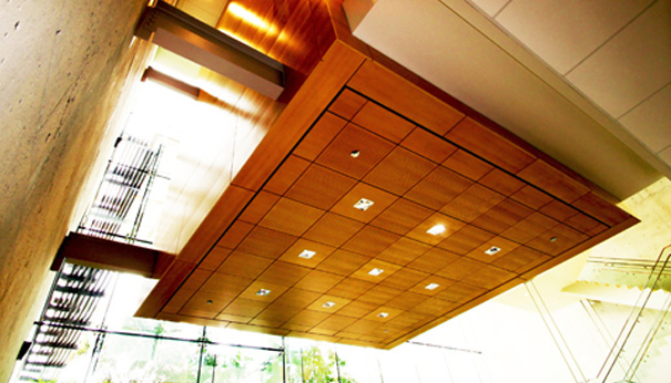 9 Wood: Acoustic Wood Ceilings