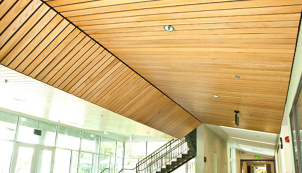 9 Wood: Acoustic Wood Ceilings