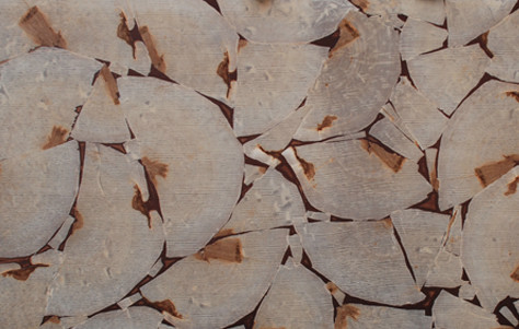 beech, countertop, End Grain Veneer, end grain veneers, environmental, facades, facing, larch, low waste, maple, nut, oak, renewable, robinie, Rohol, Rohol End Grain Veneer, Rohol veneer, Rohol veneers, unique veneers, veneer, veneers, wall covering, wood veneer