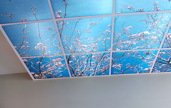 Daylight craving_ lighting trend_3
