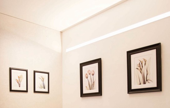 Daylight craving_ lighting trend_5