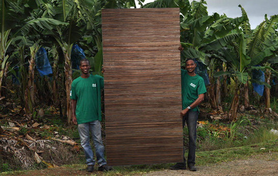 Green Blade Sustainable Veneer by FIBandCO for 3form Europe