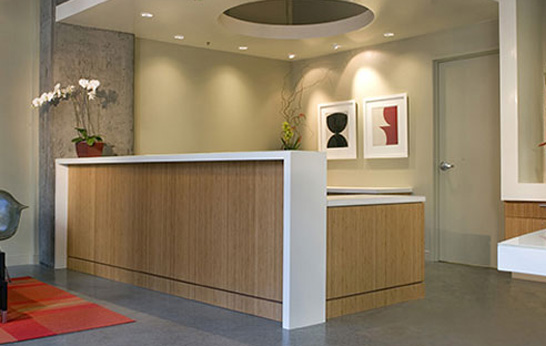 Xcora Strand Bamboo Veneer by Teragren