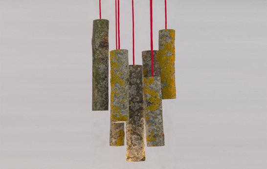 Bio Mass Light by Jay Watson