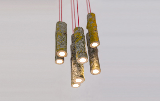 Bio Mass Light by Jay Watson