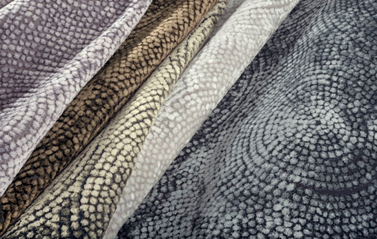 Dashing Collection by Pollack