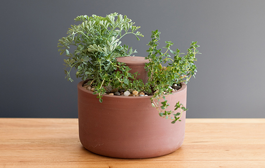 Joey Roth Planters