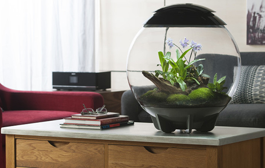 biOrb Air by Reef One