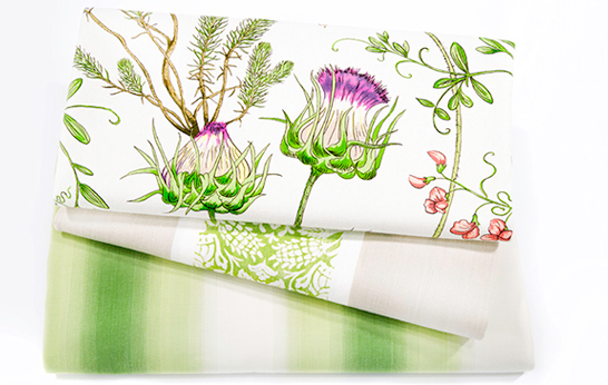 Botanical Color Collection by Robert Allen