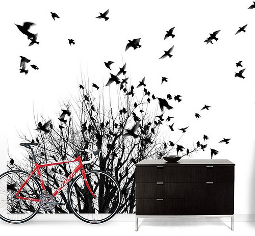 Birds