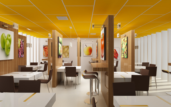 sweets-construction-rockfon-overview-752966