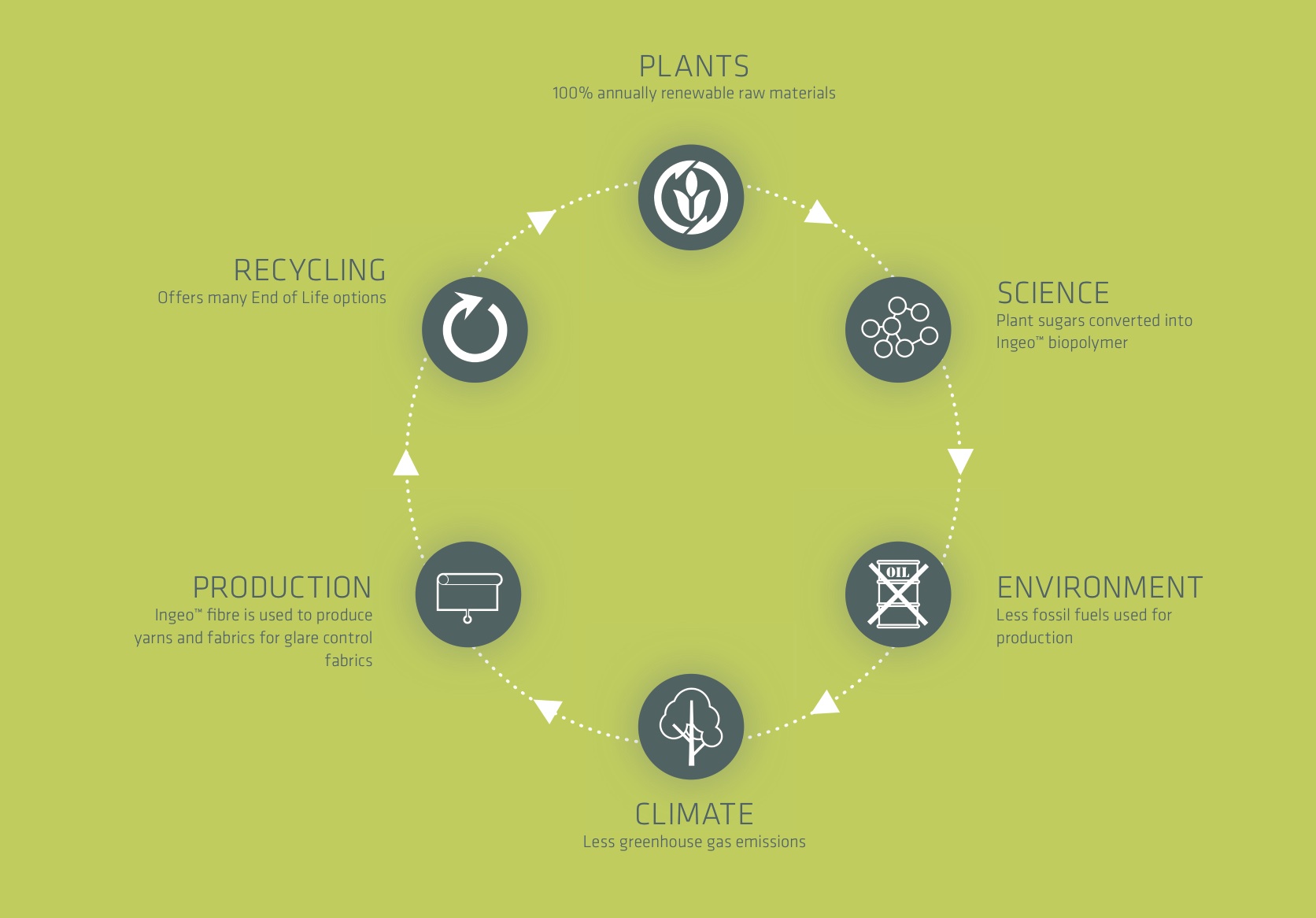 revolution-process