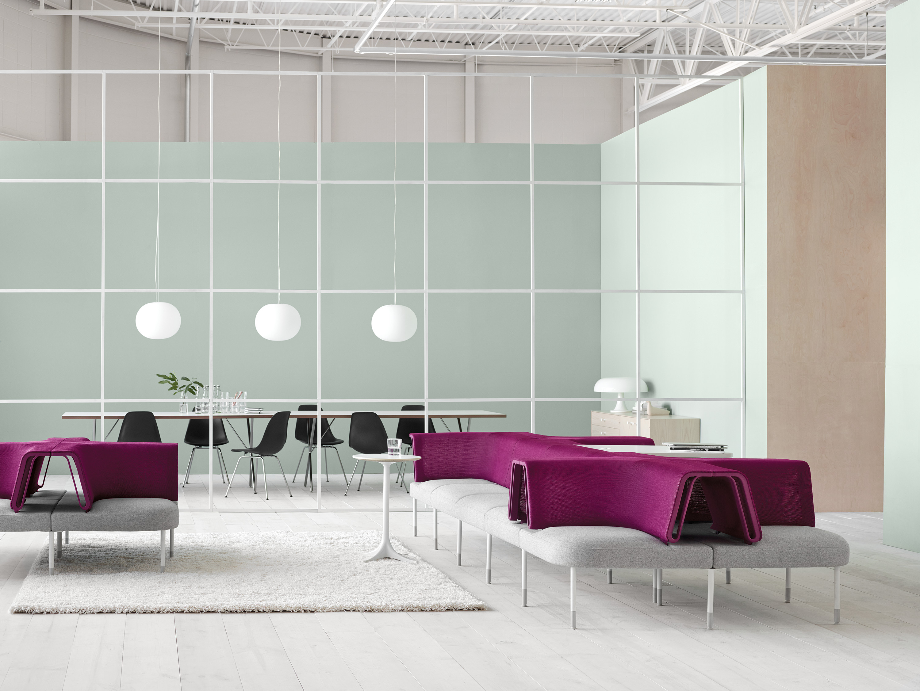 purple-and-gray