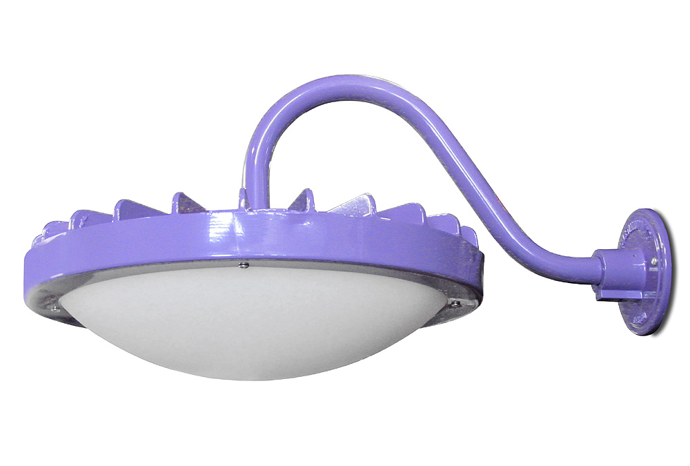 clark-pendant_cam
