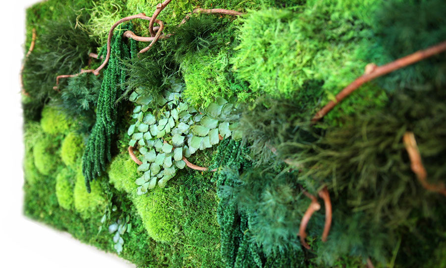 artisan-moss-40x18-natural-vine-plant-art-900x540