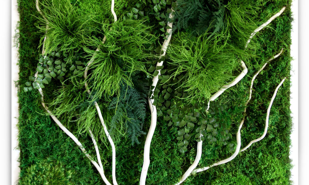 artisan-moss-white-branch-1020x610