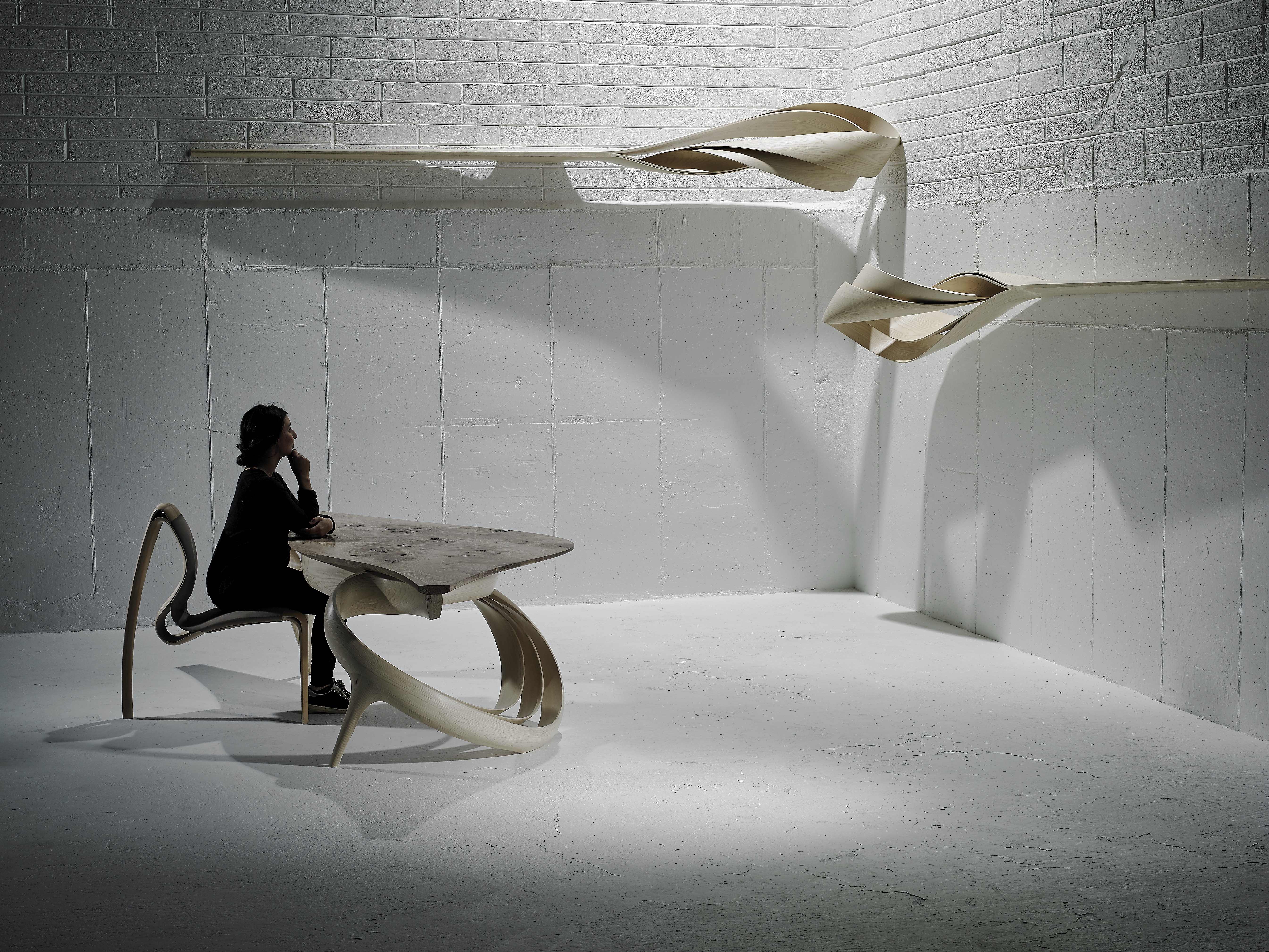 enignum-shelves-xxvi-xxvii-and-enignum-iv-desk-2