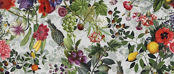 vito_nesta_flora_botanica_grey_vnbotg_devon_devon.555x236