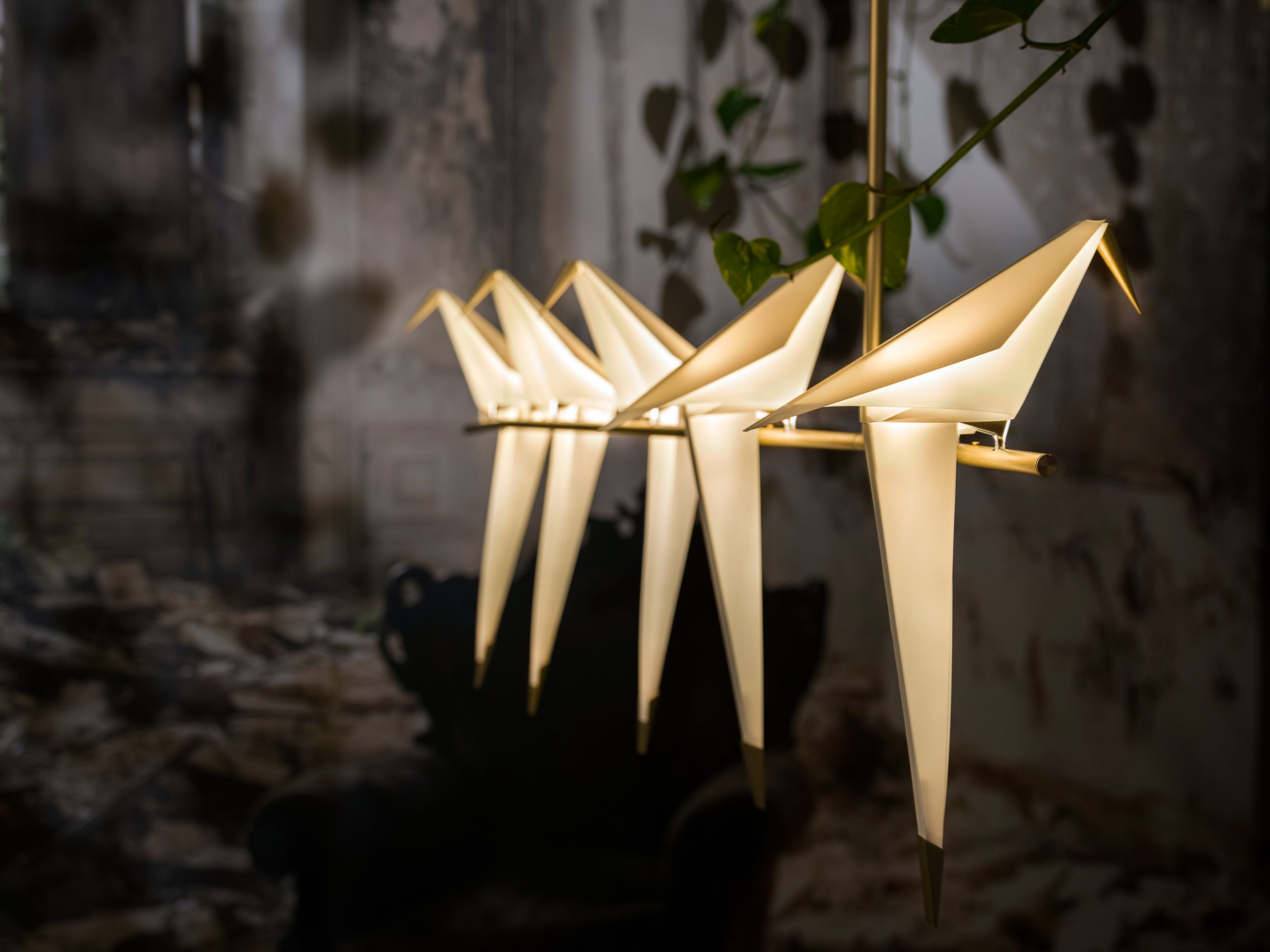 b0001436-for-web-moooi