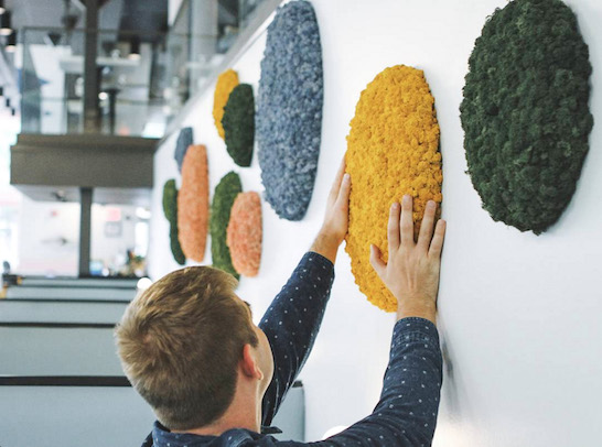 Nordgrona Reindeer Moss Wall Panels