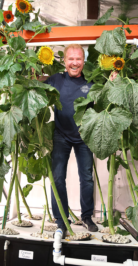 Solar-Powered Indoor Urban Farm by Metropolis Farms