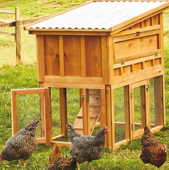Red Cedar Chicken Coop by Bambeco