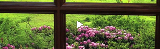 Live Video at IIDEX, NeoCon Canada: The Sky Is The Limit
