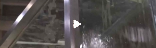 Live Video at IDS: TropicsNorth