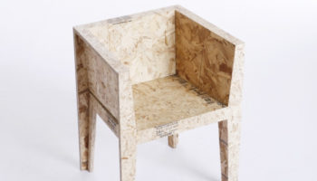 Eco Chic: Beauty Beneath the Skin (of your house)