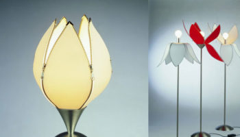 From Holland with Love: Tulip by Quasar