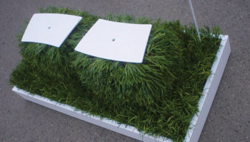 Get Back to Nature with Will Oltman’s Live Seating Get Back to Nature with Will Oltman’s Live Seating