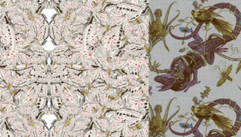 They may be Timorous, but They're Beasties all the Same