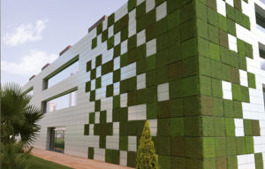 Ceracasa Lifewall