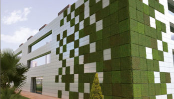 Ceracasa Lifewall: The Chia Pet Inspires Vertical Gardens