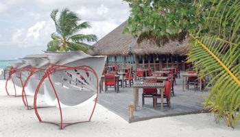 Fabric Images Branches Out with Rhizome Chair by FI Outdoor