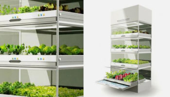 Hyundai's Kitchen Nano Garden
