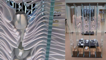 Karolina Tylka and her extraordinary China Cabinet