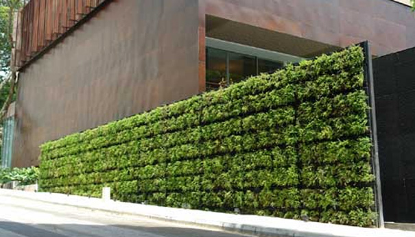 An Edible Living Wall by Tournesol Siteworks