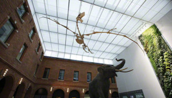 Eager for a new Shade of Ceiling? Try Barrisol’s Stretch System