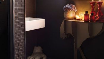 The Headless Ostrich Console Table by Ibride