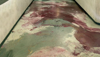 A Canvas Beneath Your Feet: Pulkra's Artistic Resin Floors