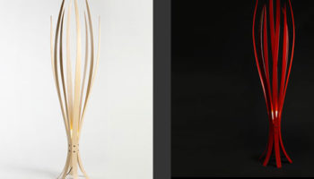 Alex MacMaster’s Intriguing Iris