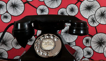 Pick the Cotton Tree: Eco-friendly Wallpaper by MissPrint