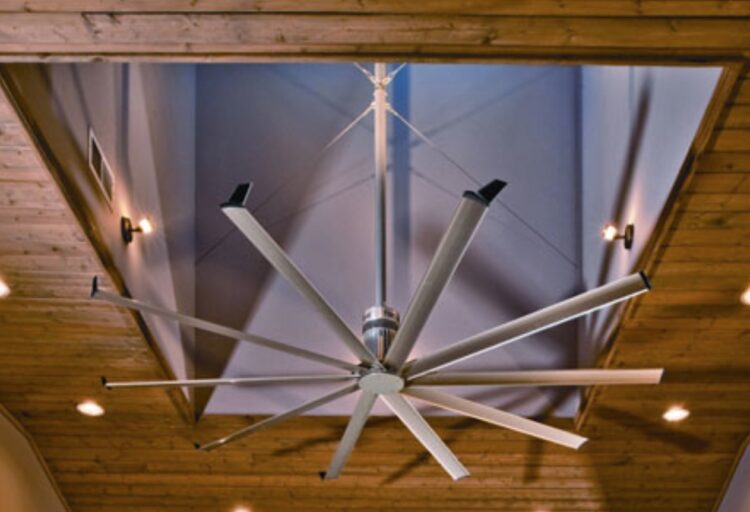 Isis fan with wood-paneled ceiling
