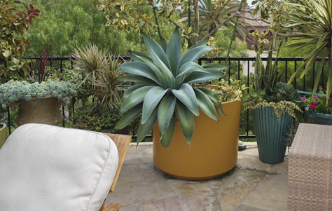 Renewing its 60 Year Momentum: The Cylinder Line of Gainey Ceramic Pots