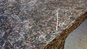 Shredded Collection Grows with 6' Table