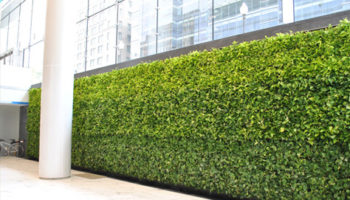 GSky Green Walls