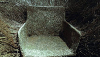 Nacho Carbonell's Bush of Iron