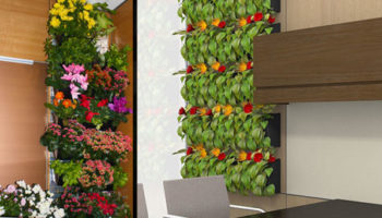 Do It Right This Time with DIRTT's Breathe Living Walls