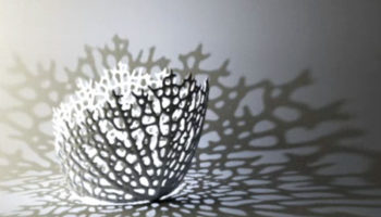 Algorithmically Generated Hyphae Lamps